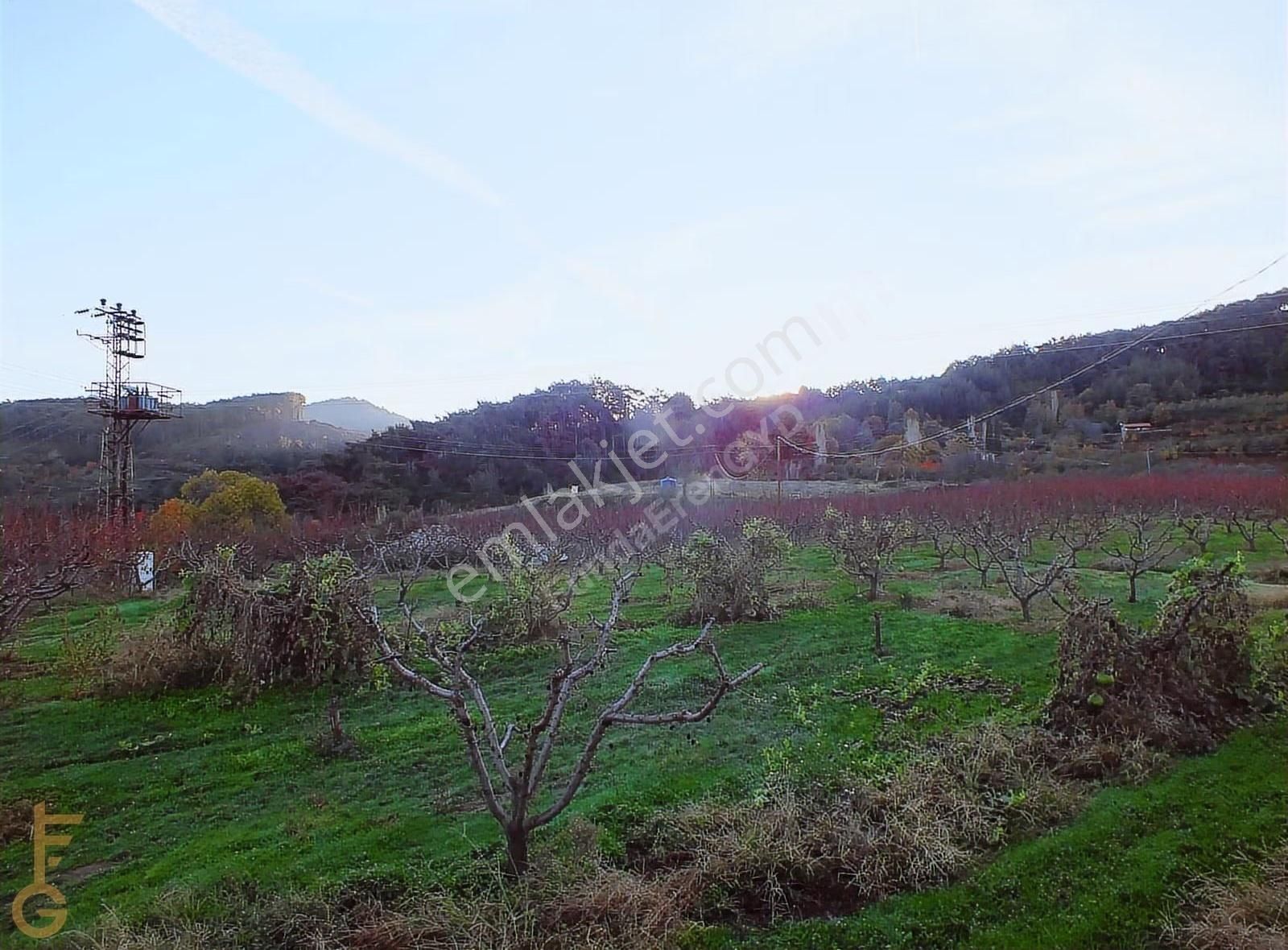 Şirince' De 2 Odalı 72m² Yapı Ve Şeftali Bahçesi Satılık 6927m² - Görsel 22