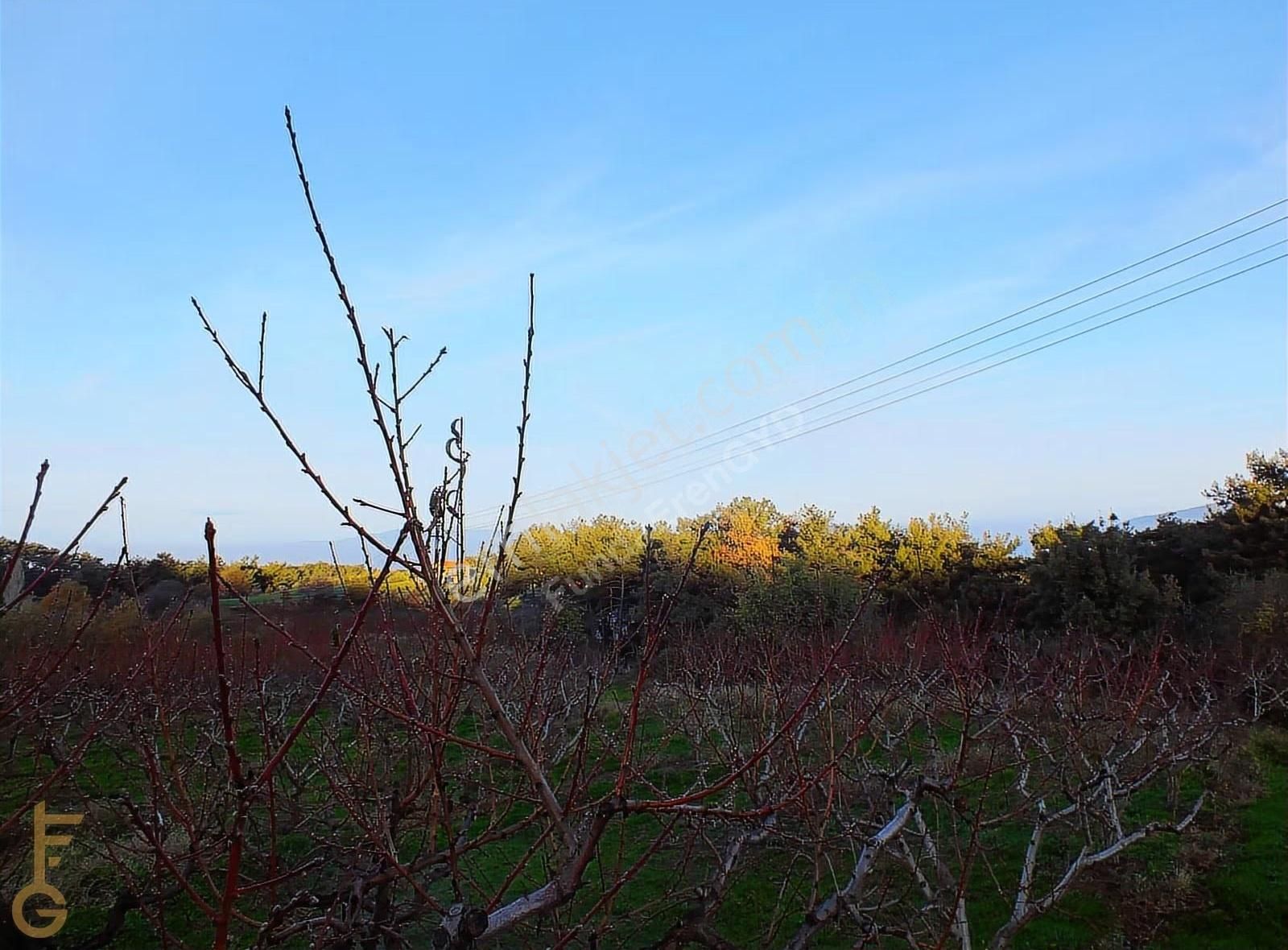 Şirince' De 2 Odalı 72m² Yapı Ve Şeftali Bahçesi Satılık 6927m² - Görsel 32