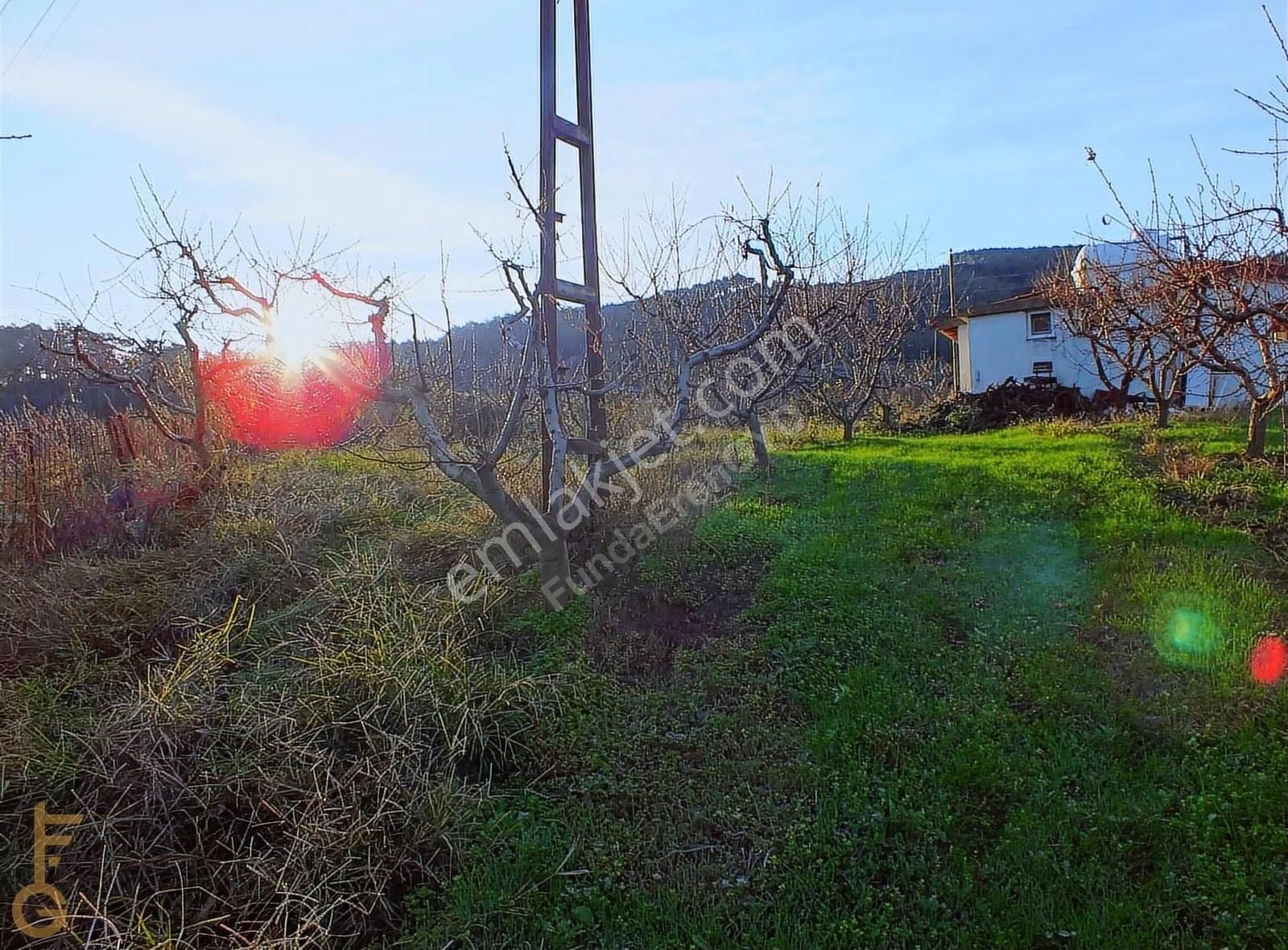 Şirince' De 2 Odalı 72m² Yapı Ve Şeftali Bahçesi Satılık 6927m² - Görsel 12