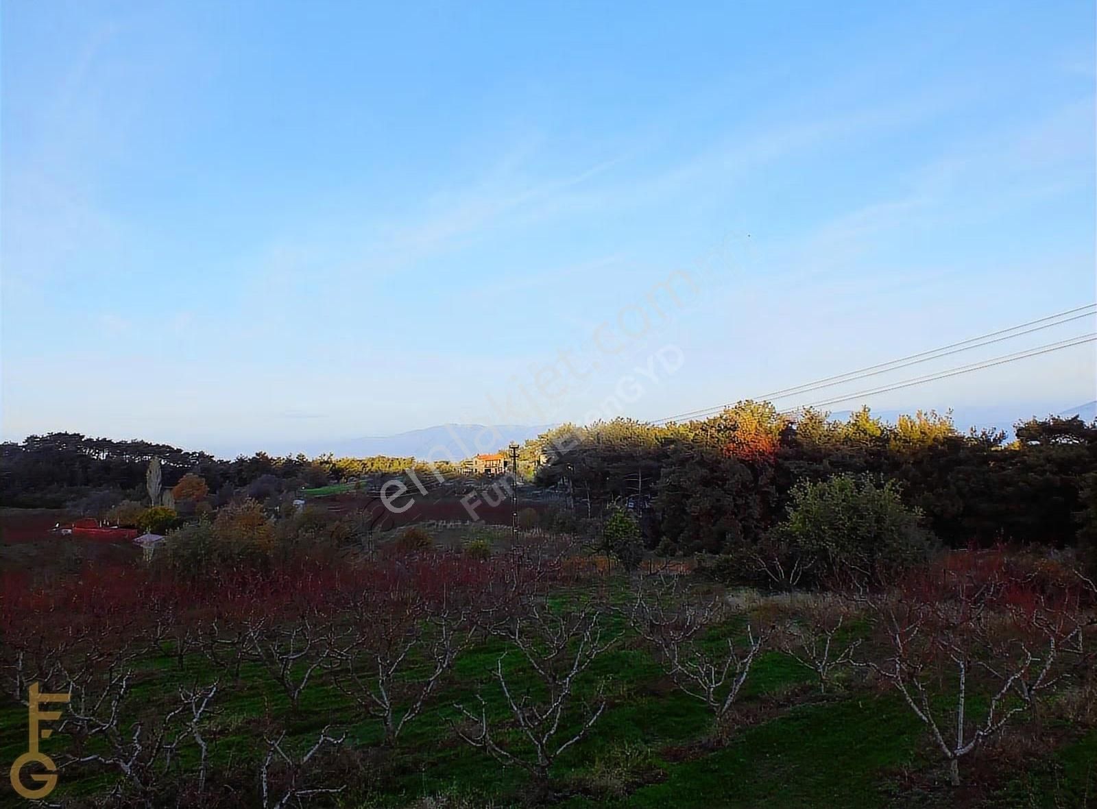 Şirince' De 2 Odalı 72m² Yapı Ve Şeftali Bahçesi Satılık 6927m² - Görsel 26