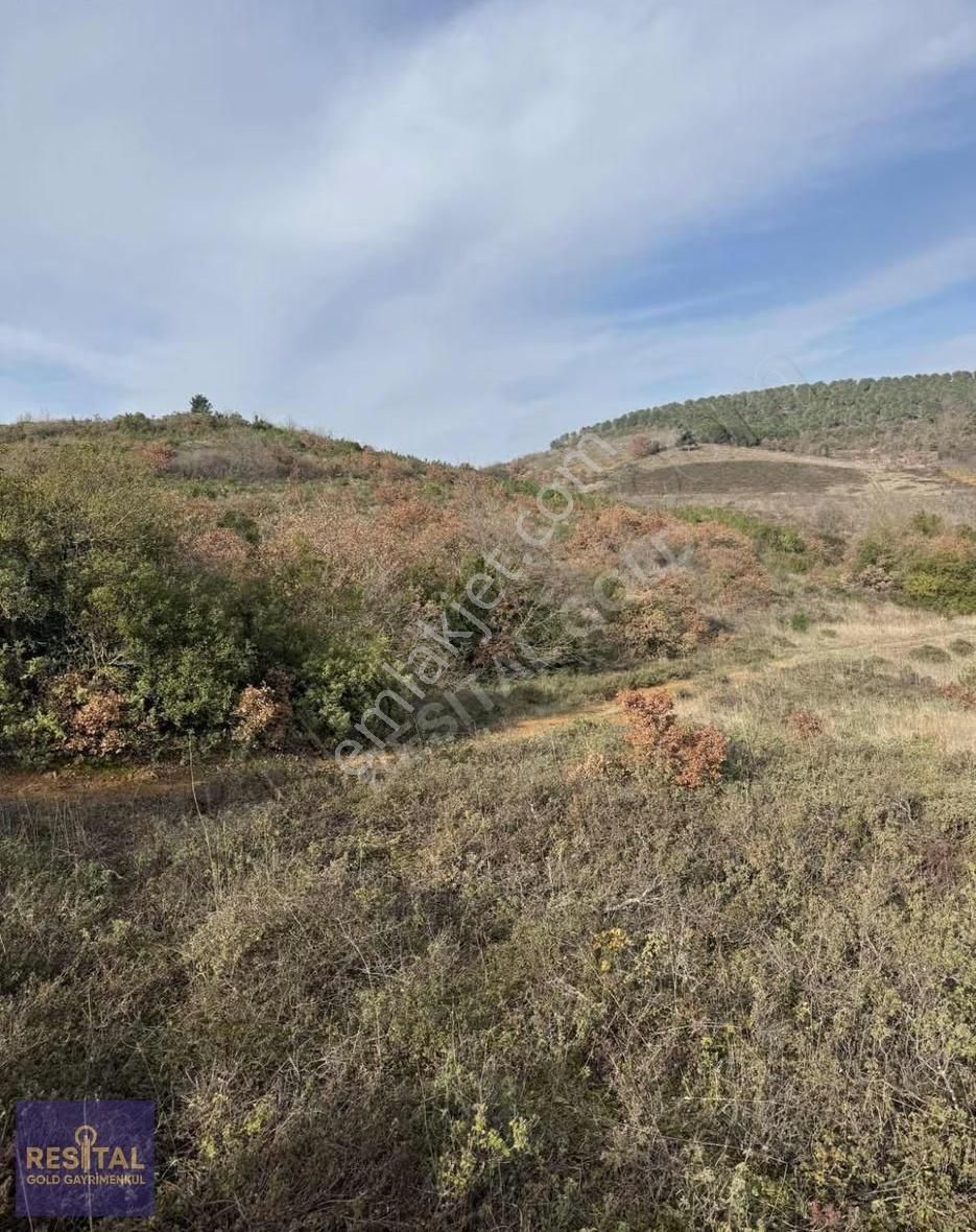 Bursa'nın Yükselen Değeri Mudanya Mirzaobada Satılık Tarla - Görsel 2