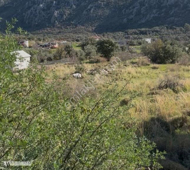 Ahmet Ayar Dan Yeşilova Yerleşim Bölgesinde 563 Metrekare