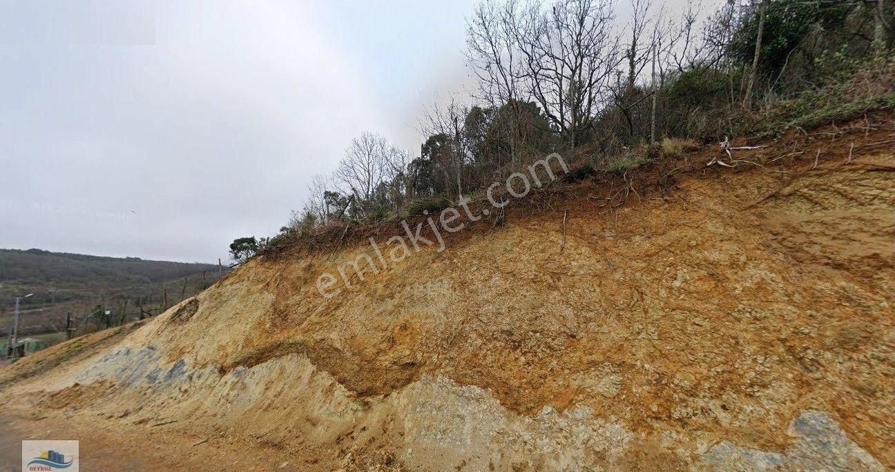 Anadolu Feneri Nde 2624 M2 Tarla Vasfında Arsa - Görsel 4