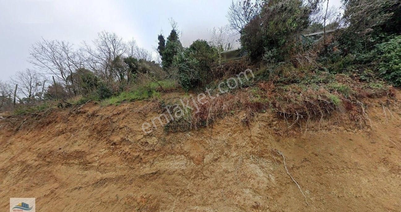 Anadolu Feneri Nde 2624 M2 Tarla Vasfında Arsa - Görsel 5