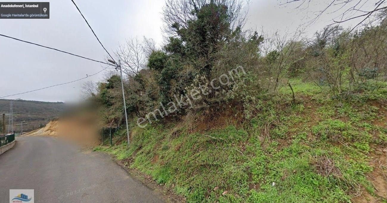 Anadolu Feneri Nde 2624 M2 Tarla Vasfında Arsa