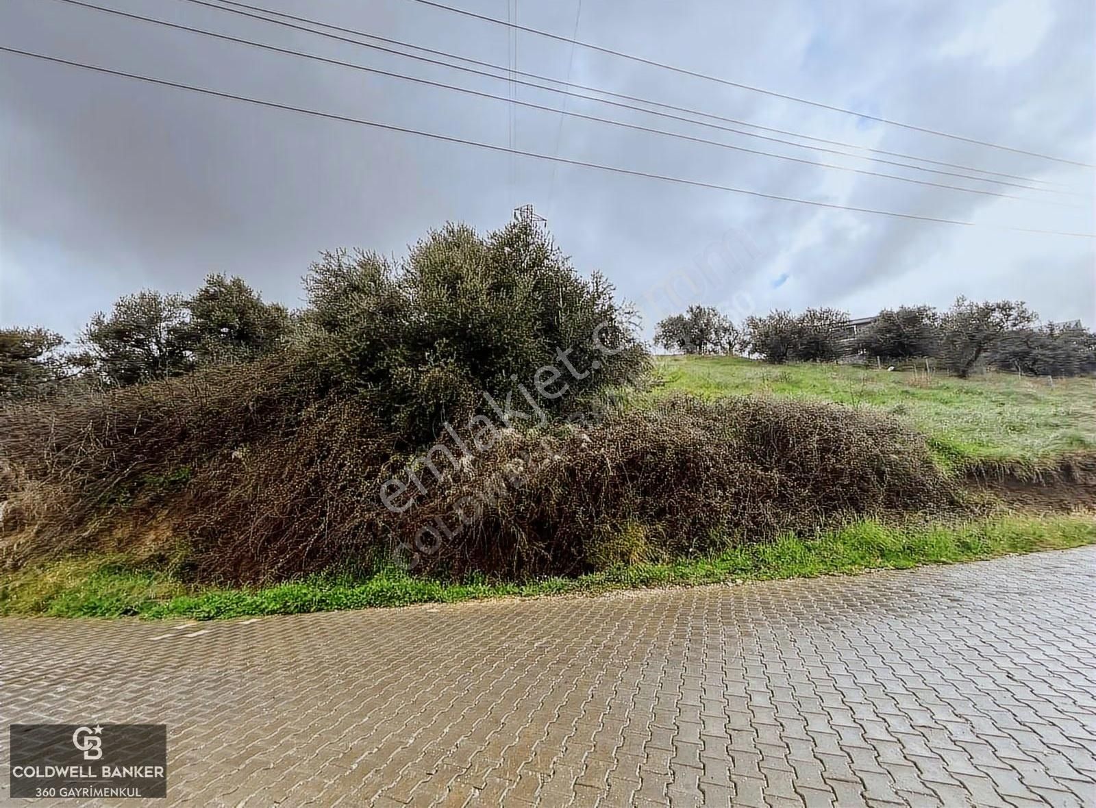 Saipler'de Köy İçi 982 M2 Satılık Tarla - Görsel 7