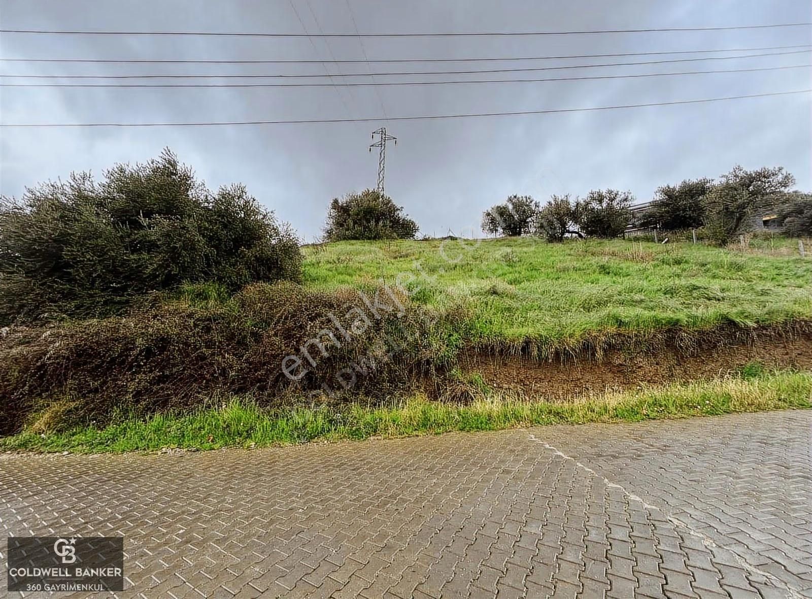 Saipler'de Köy İçi 982 M2 Satılık Tarla - Görsel 18