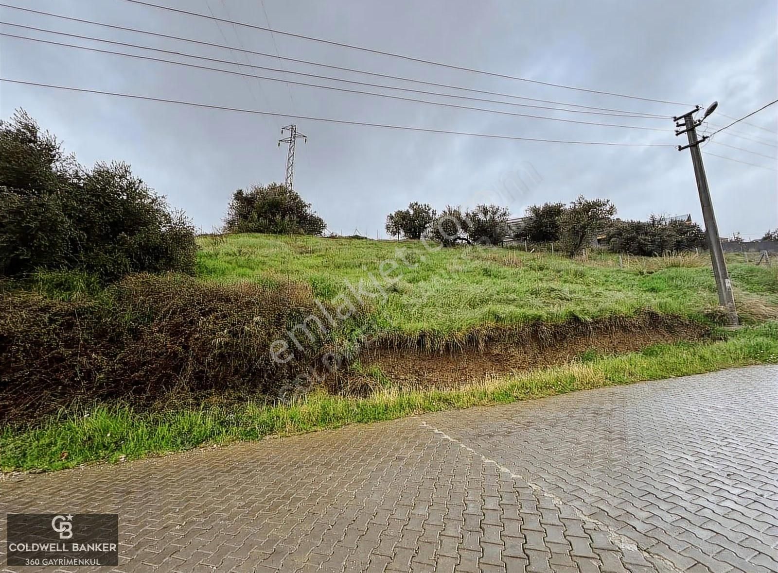 Saipler'de Köy İçi 982 M2 Satılık Tarla