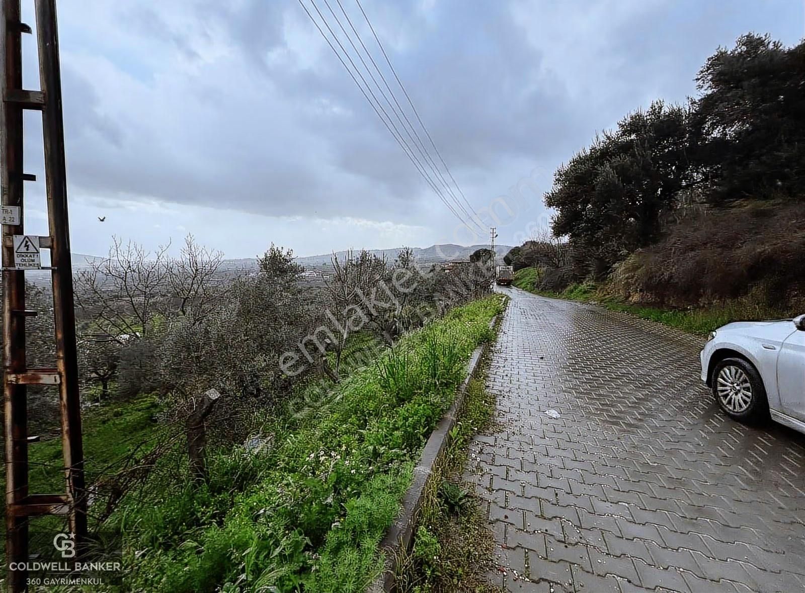 Saipler'de Köy İçi 982 M2 Satılık Tarla - Görsel 3