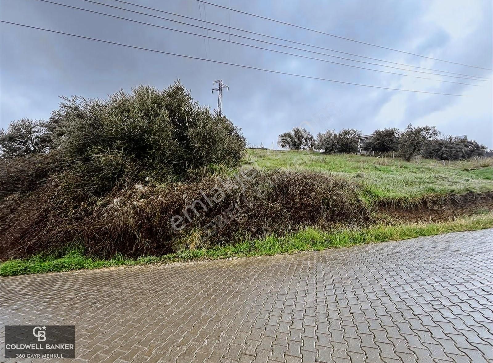 Saipler'de Köy İçi 982 M2 Satılık Tarla - Görsel 8