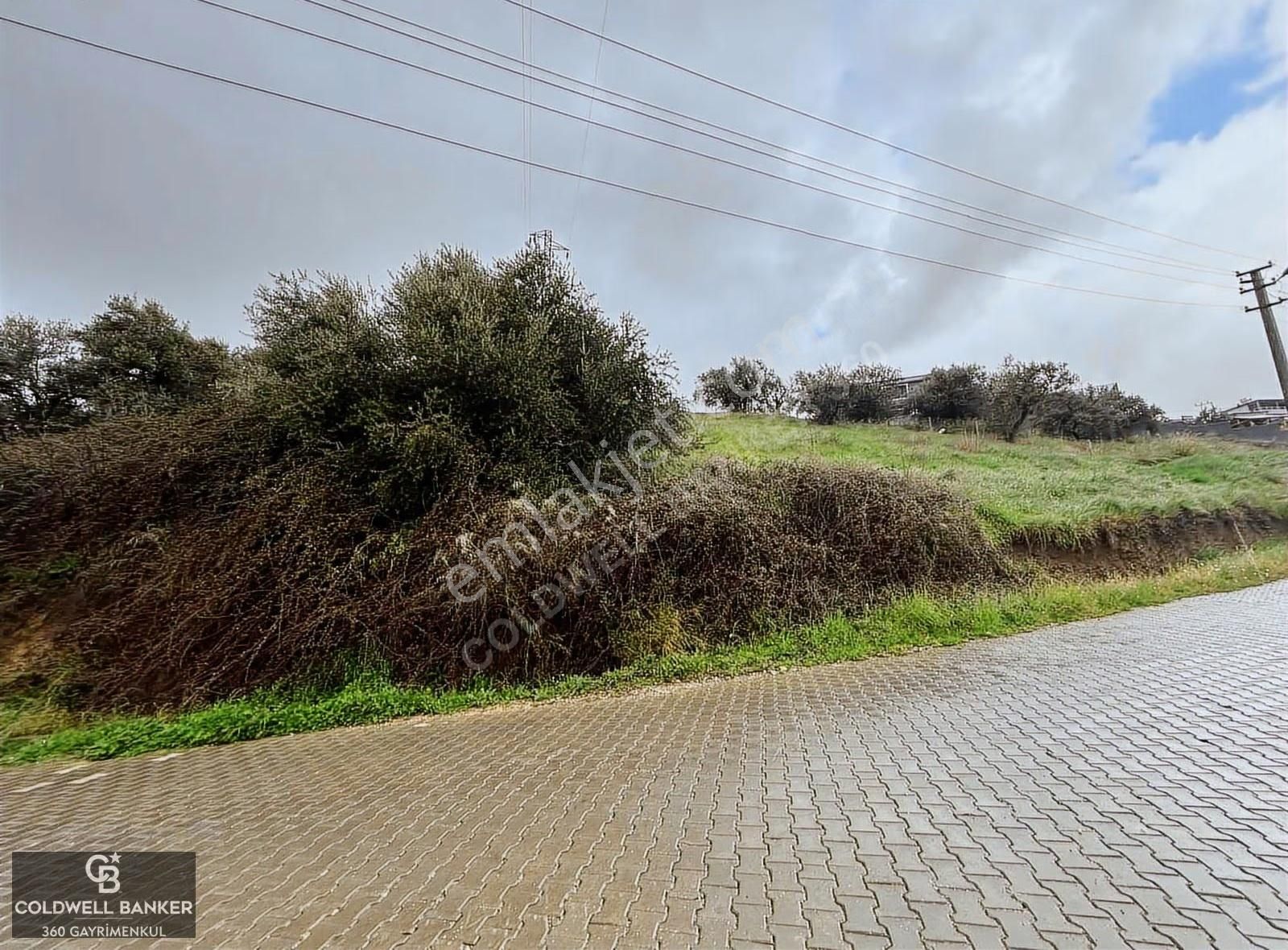 Saipler'de Köy İçi 982 M2 Satılık Tarla - Görsel 5