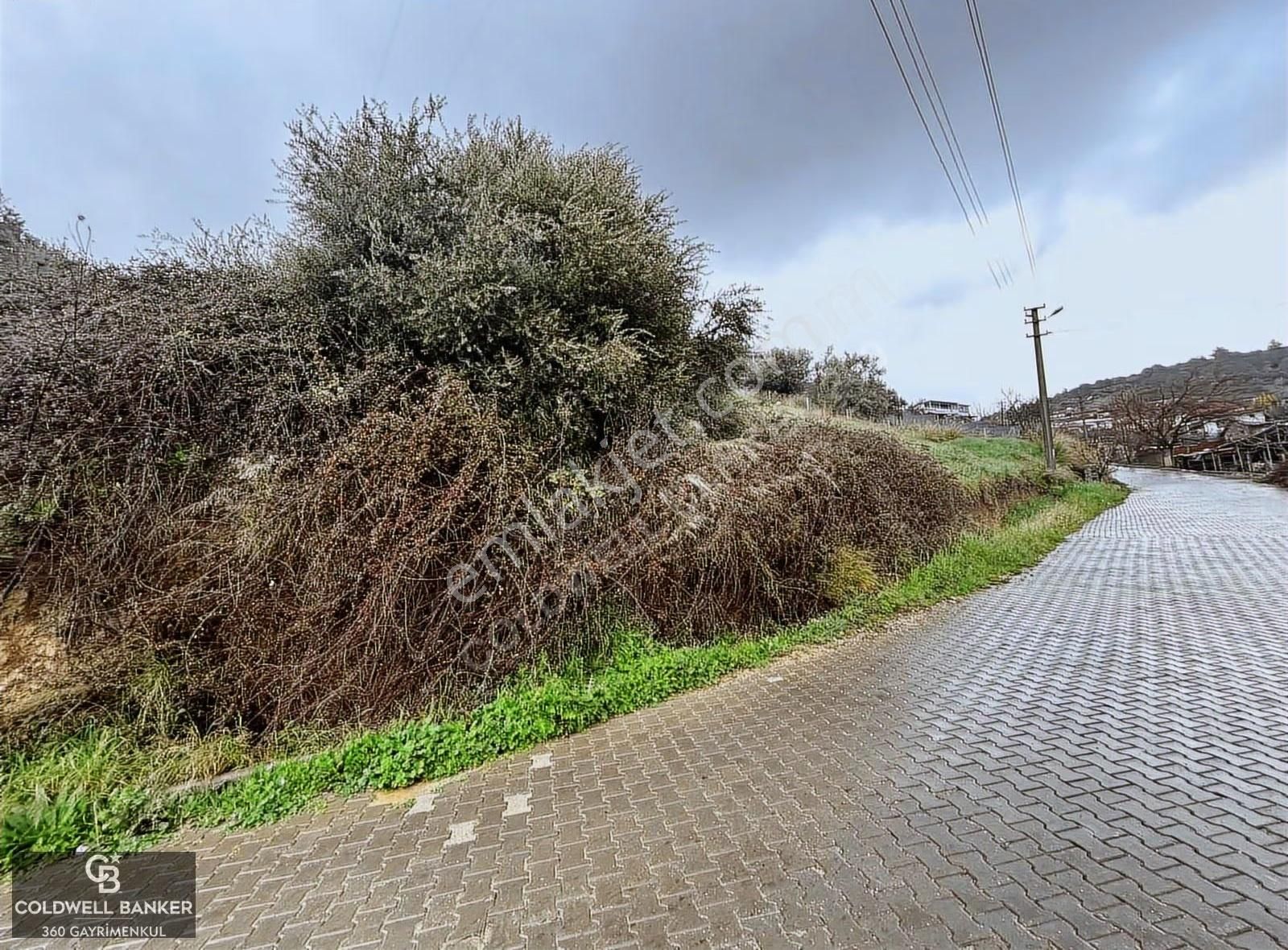 Saipler'de Köy İçi 982 M2 Satılık Tarla - Görsel 11