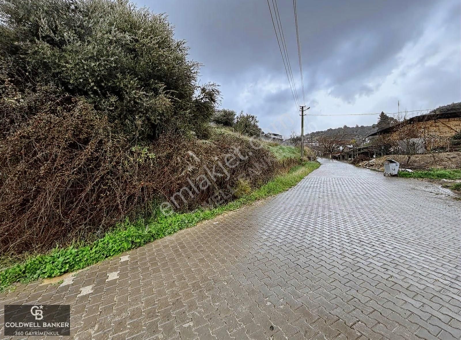 Saipler'de Köy İçi 982 M2 Satılık Tarla - Görsel 12