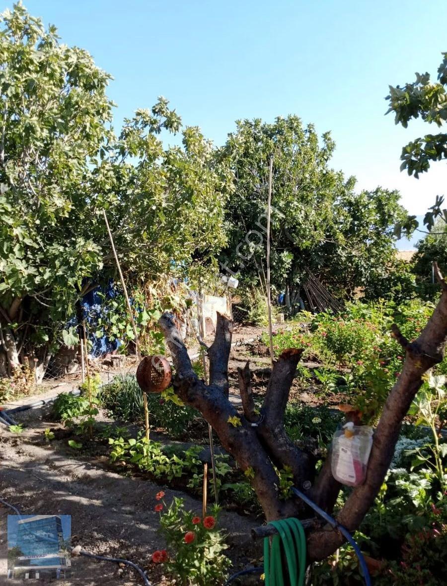 Manisa Şehzadelerde Tepecik Mah Arsa - Görsel 13