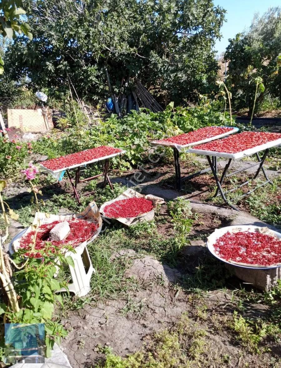 Manisa Şehzadelerde Tepecik Mah Arsa - Görsel 17