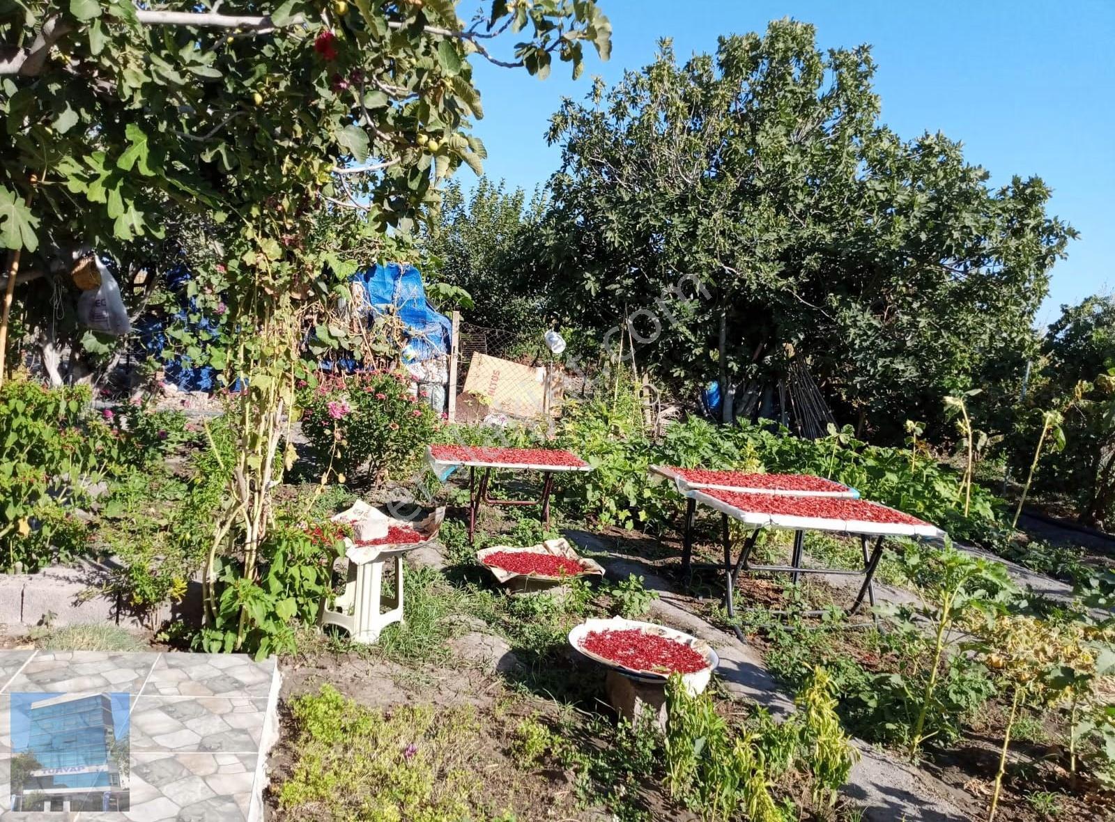 Manisa Şehzadelerde Tepecik Mah Arsa - Görsel 7