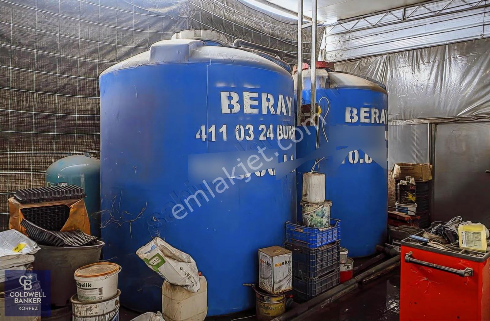 Bölgenin En Büyük Serası Güner Çiçekçilik Satılık - Görsel 2