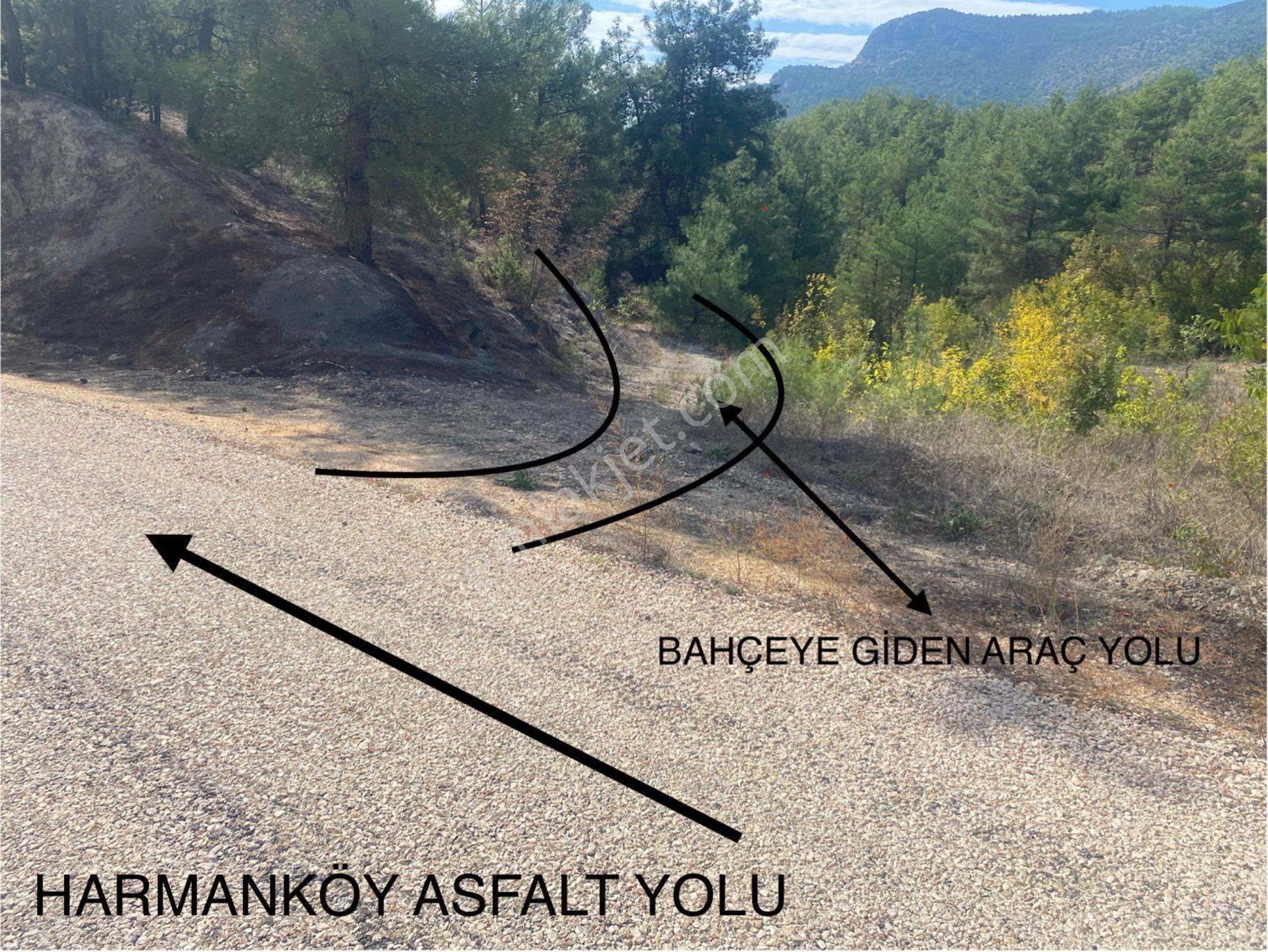 Sahibinden Uygun Rakamlı Bahçe. - Görsel 7
