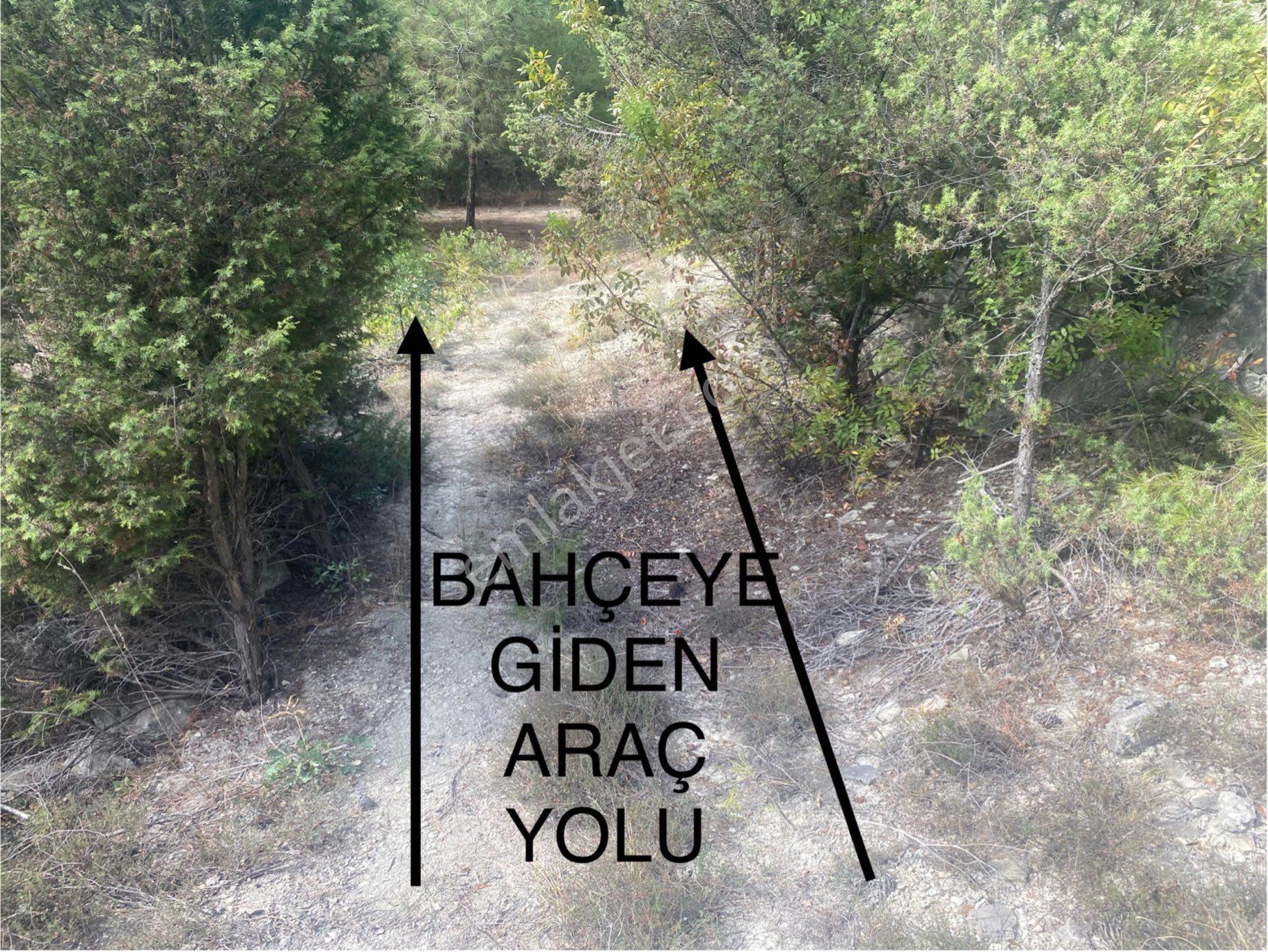 Sahibinden Uygun Rakamlı Bahçe. - Görsel 8
