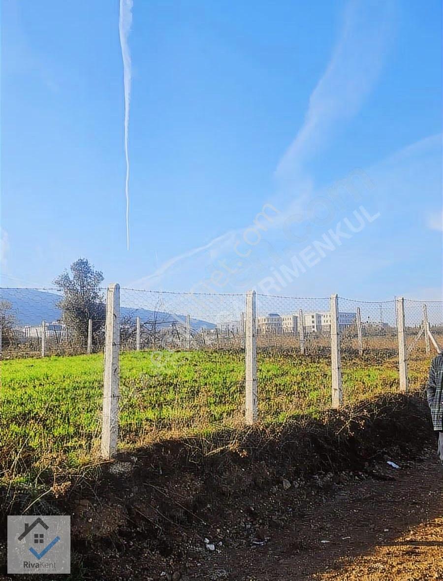 Takasa Açık Full Deniz Manzaralı Köşe Parsel Villalık Arsa - Görsel 7