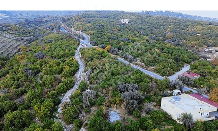 Mersin Erdemli Çiftepinar Da Acıl Satılık Tarla-bahçe - Görsel 7