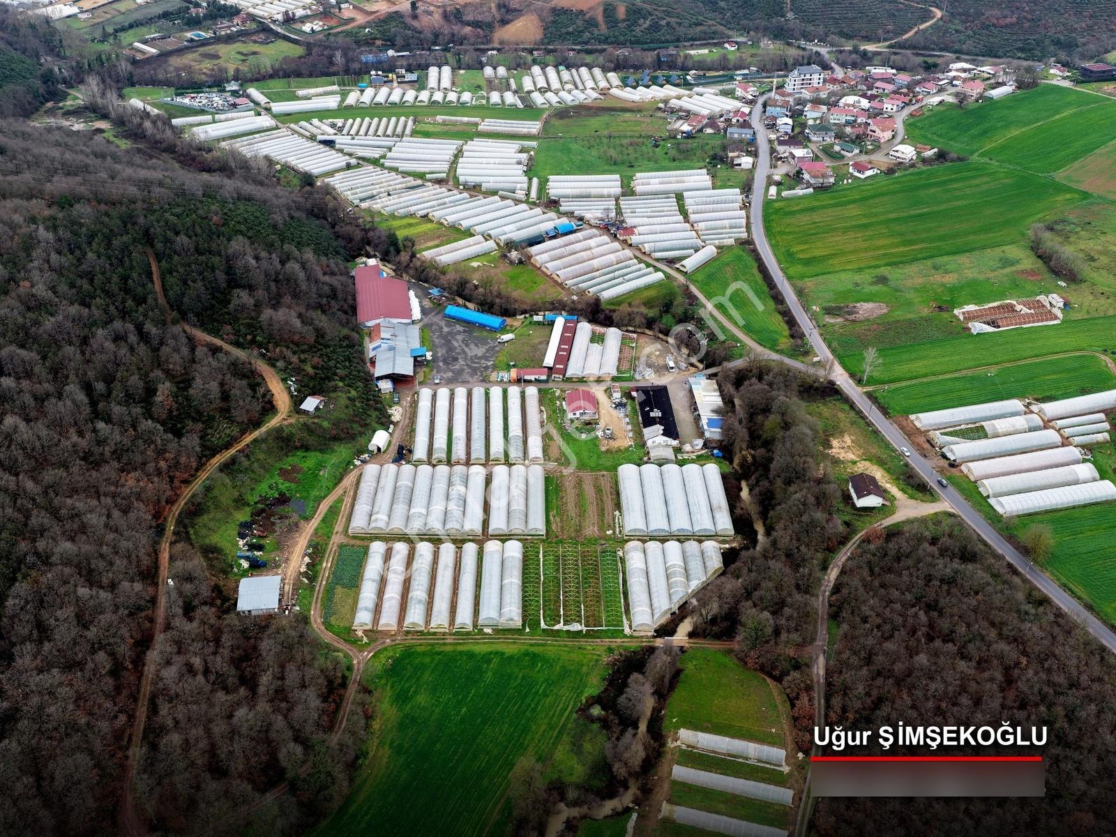 Tbc Gayrimenkul |gebze Kadıllı 9.917 M² Tek Tapu Çiftlik Arazisi - Görsel 23