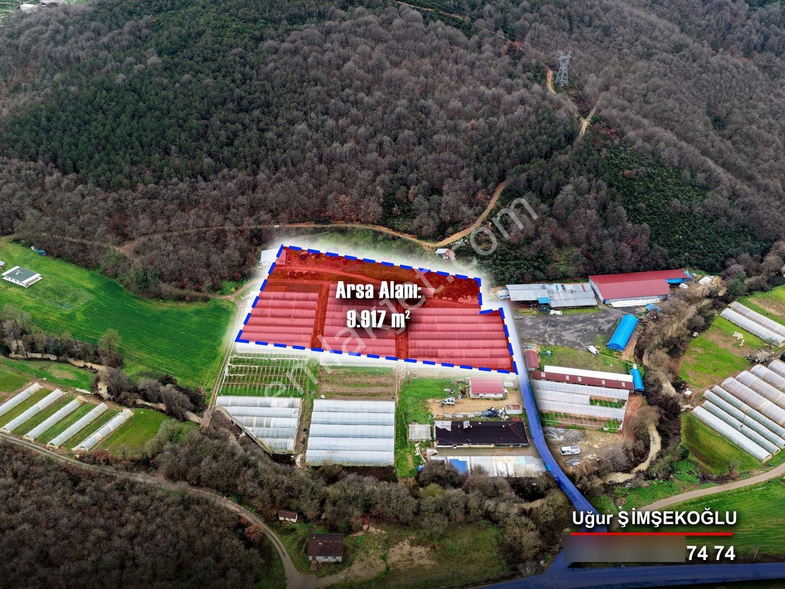 Tbc Gayrimenkul |gebze Kadıllı 9.917 M² Tek Tapu Çiftlik Arazisi - Görsel 13