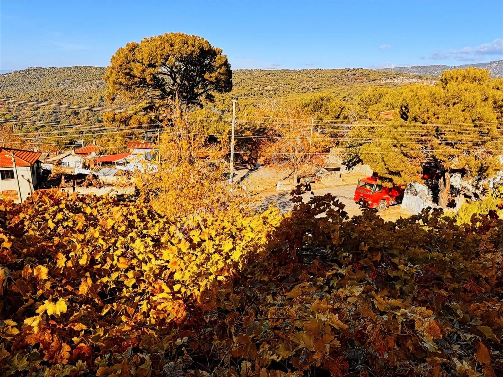 Bergama Kozak Aşağıbey Mah'de Satılık 2 Adet Müstakil Ev