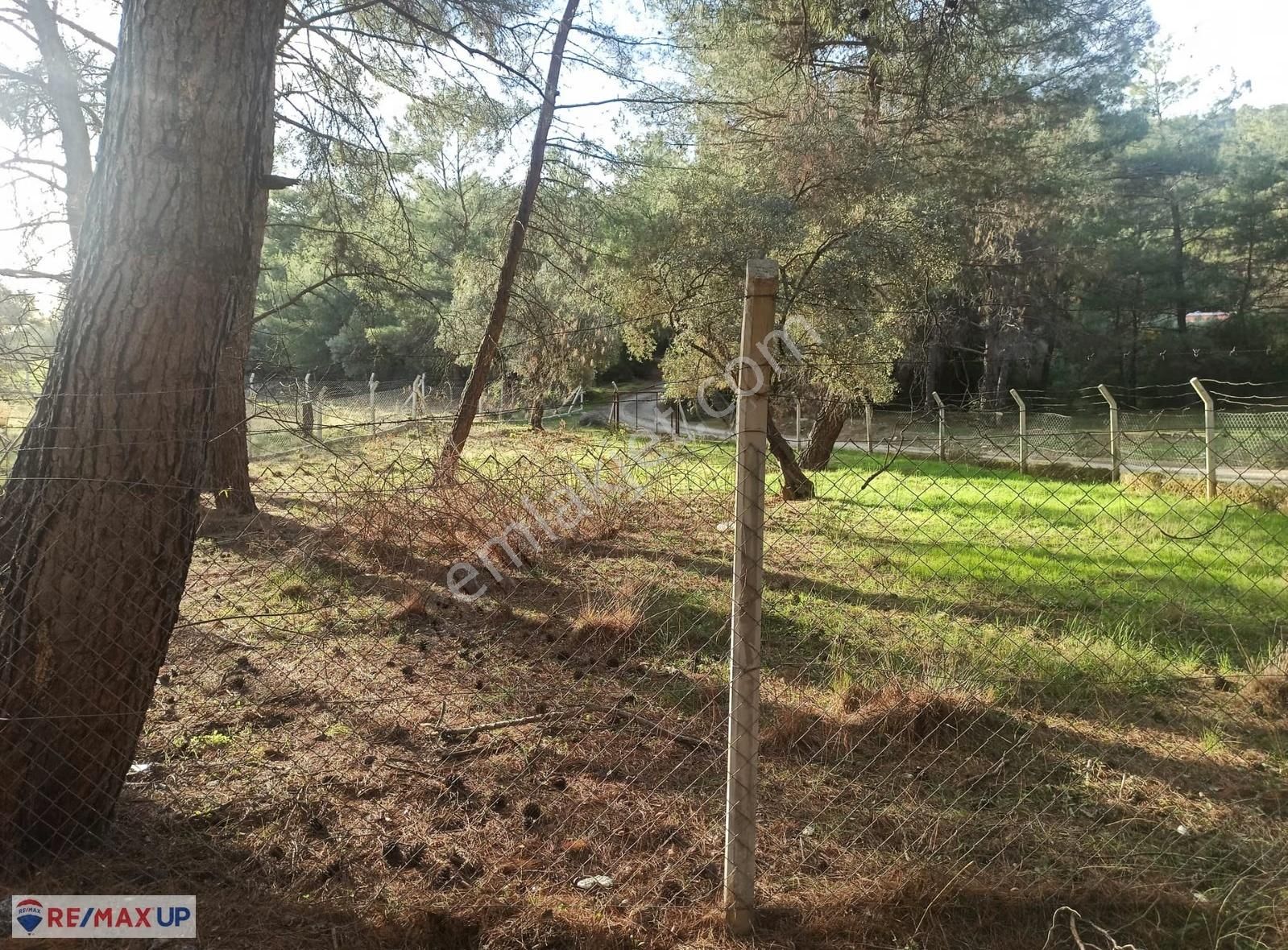 Buca Doğancılar Köyünde Yatırımlık 623 M² Köşe Parsel