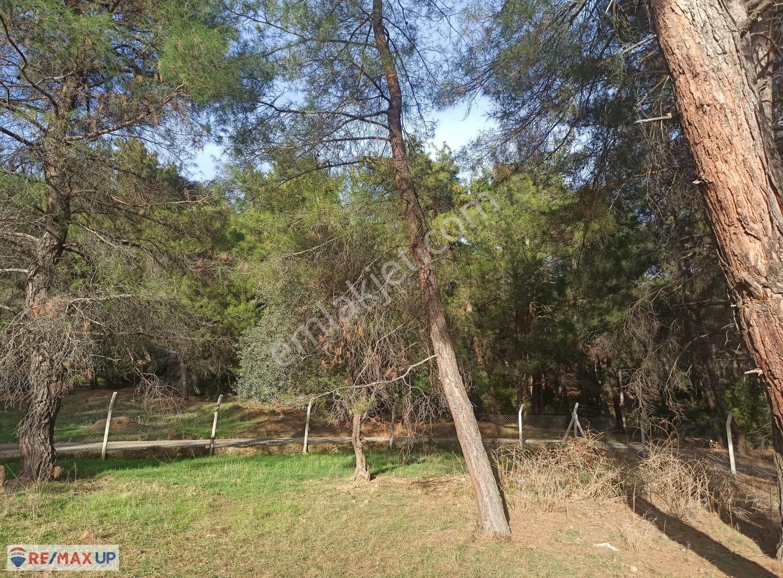 Buca Doğancılar Köyünde Yatırımlık 623 M² Köşe Parsel - Görsel 6