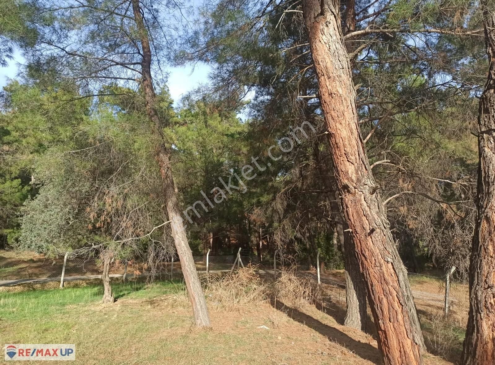 Buca Doğancılar Köyünde Yatırımlık 623 M² Köşe Parsel - Görsel 11