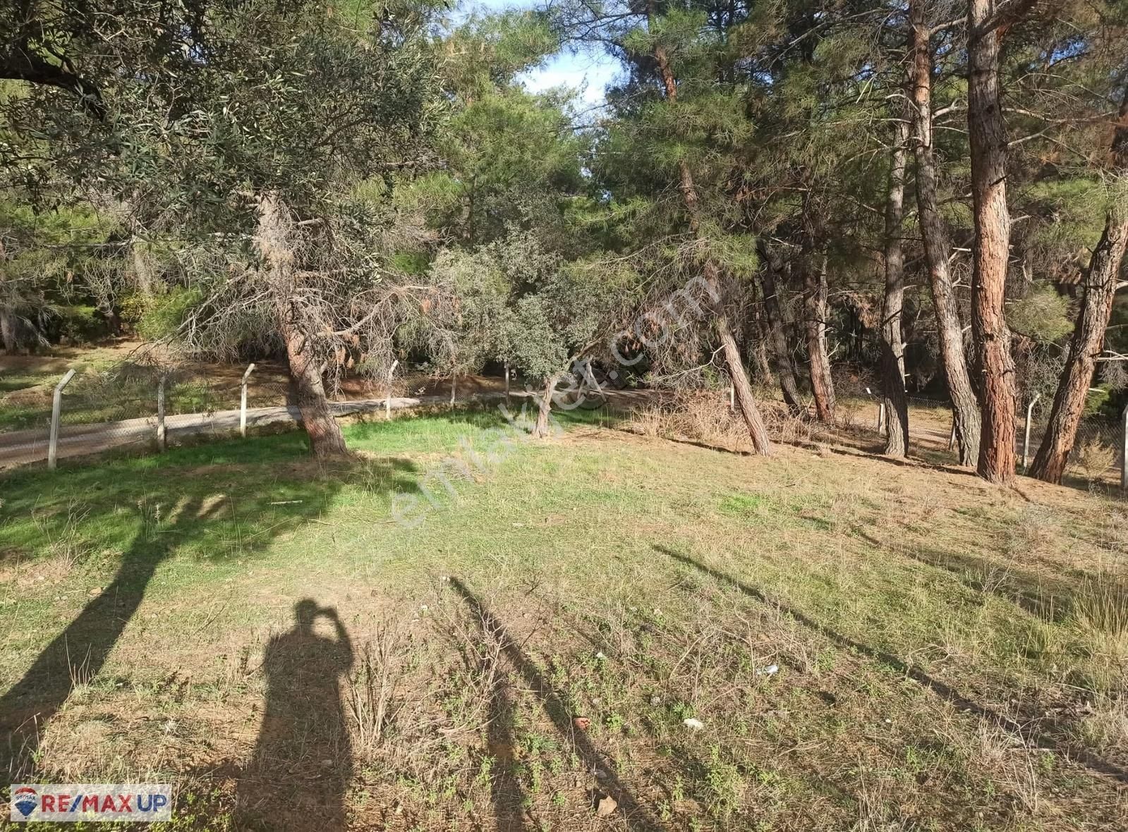 Buca Doğancılar Köyünde Yatırımlık 623 M² Köşe Parsel - Görsel 7