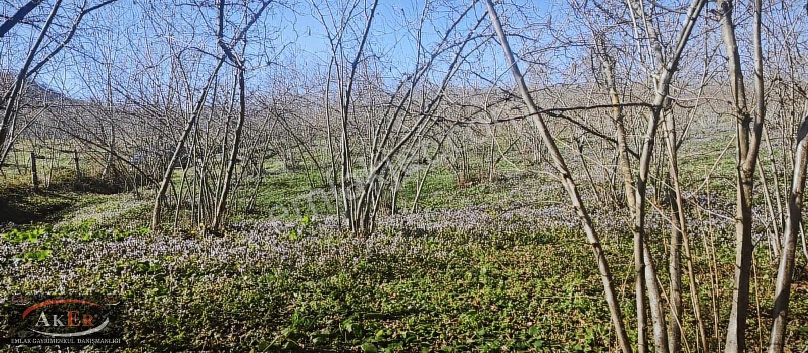 11.450 Metrekare Kısmi İmarlı Harika Konum - Görsel 25