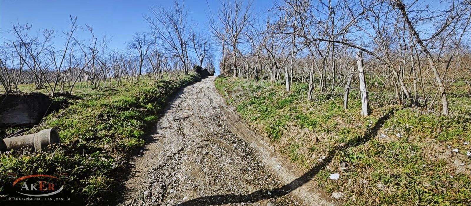 11.450 Metrekare Kısmi İmarlı Harika Konum - Görsel 18
