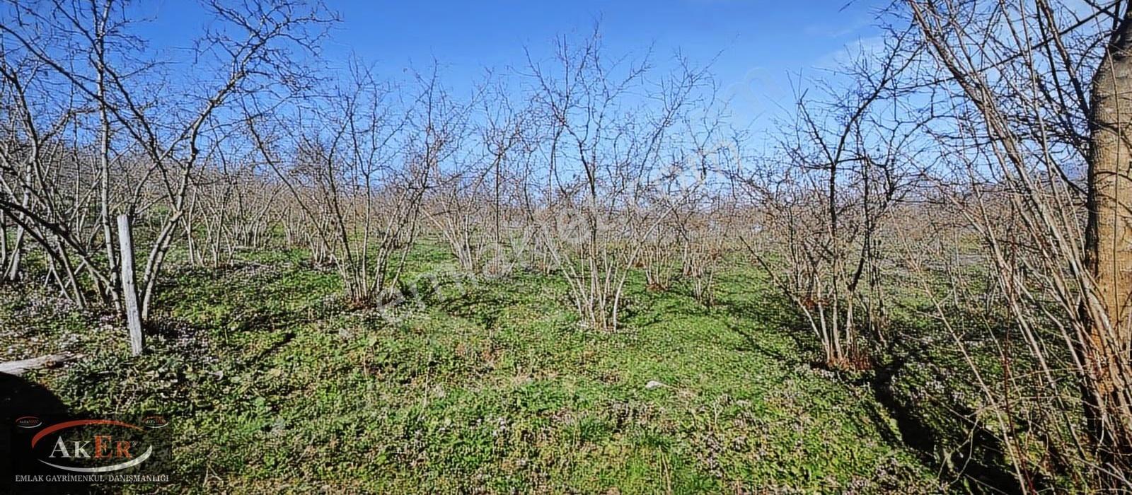 11.450 Metrekare Kısmi İmarlı Harika Konum - Görsel 24