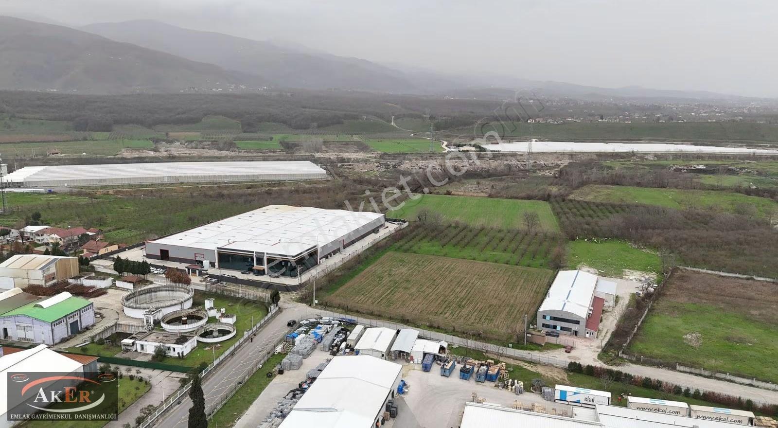 5.100 Metrekare Bacalı Sanayi Arsası - Görsel 14
