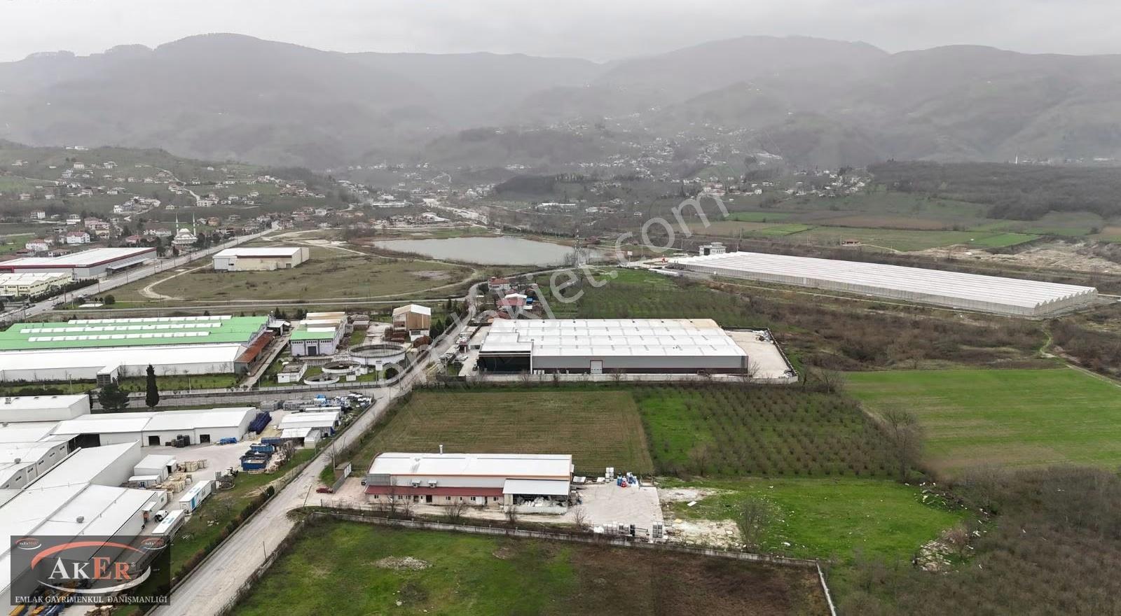 5.100 Metrekare Bacalı Sanayi Arsası - Görsel 11