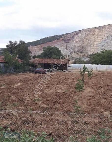 Tavasta Prefabrik Evli Tarla