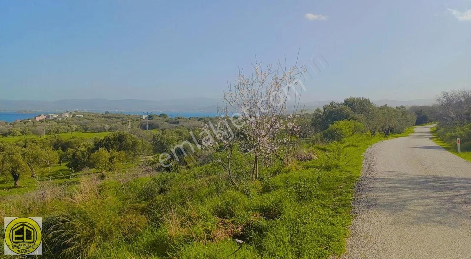 Aliağa Çaltıdere Deniz Manzaralı 9578 M² Mükemmel Konumda Arazi - Görsel 13