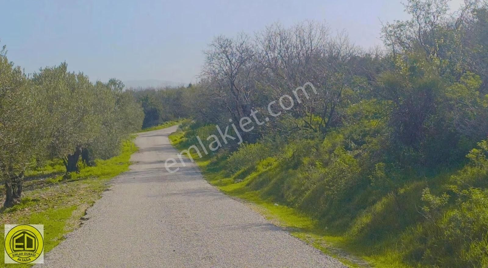 Aliağa Çaltıdere Deniz Manzaralı 9578 M² Mükemmel Konumda Arazi - Görsel 7