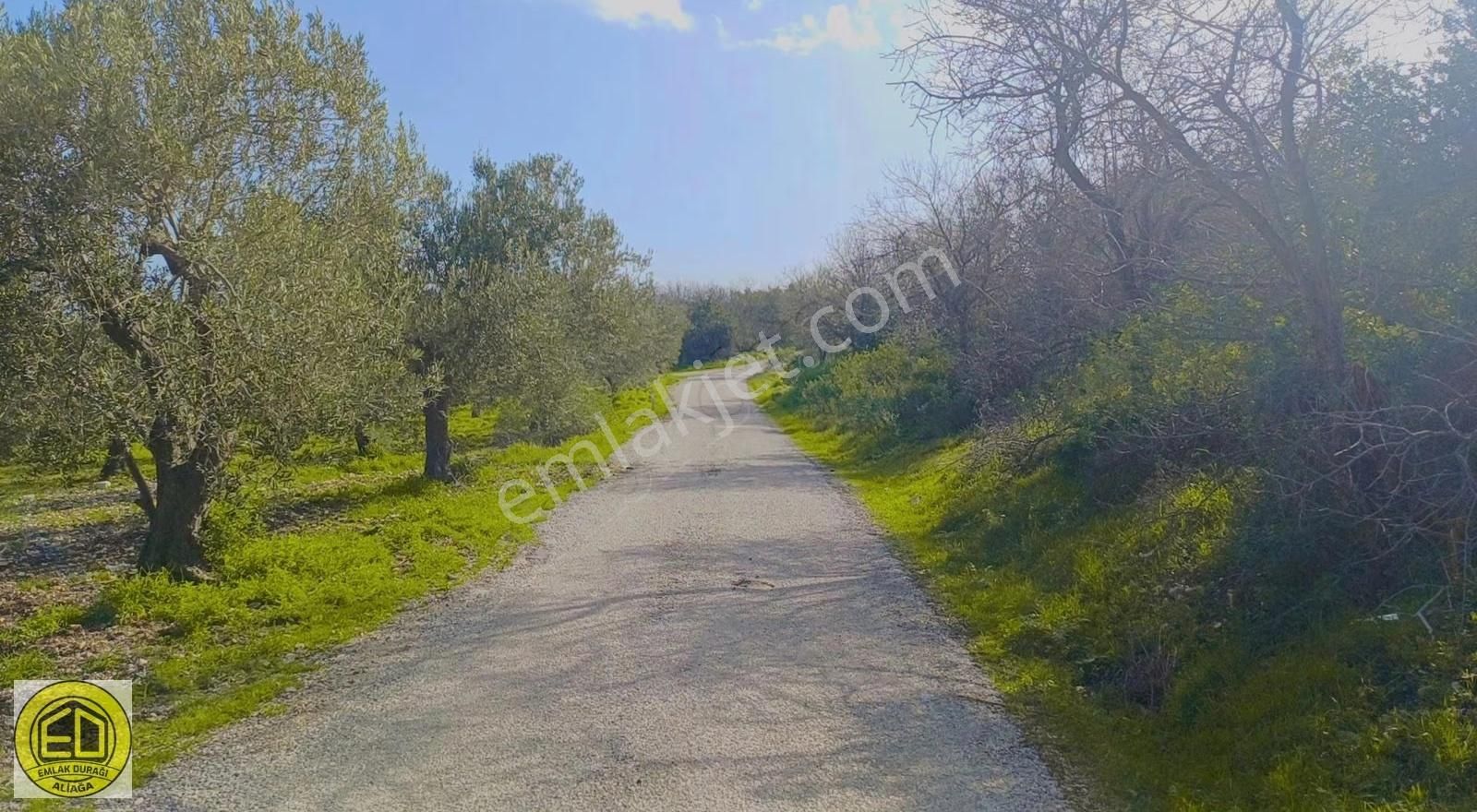 Aliağa Çaltıdere Deniz Manzaralı 9578 M² Mükemmel Konumda Arazi - Görsel 15