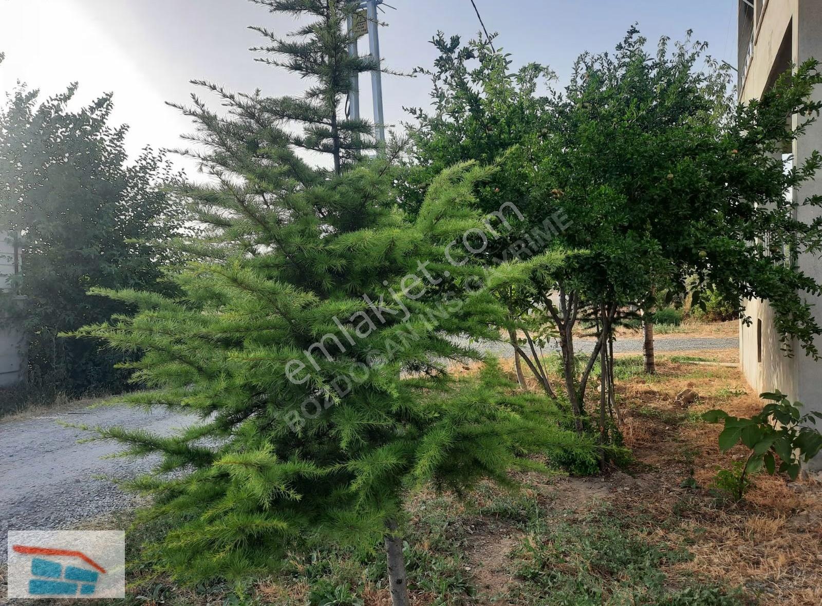 Bozdoğandan Hatunsuyunda Satılık Tarla Besi