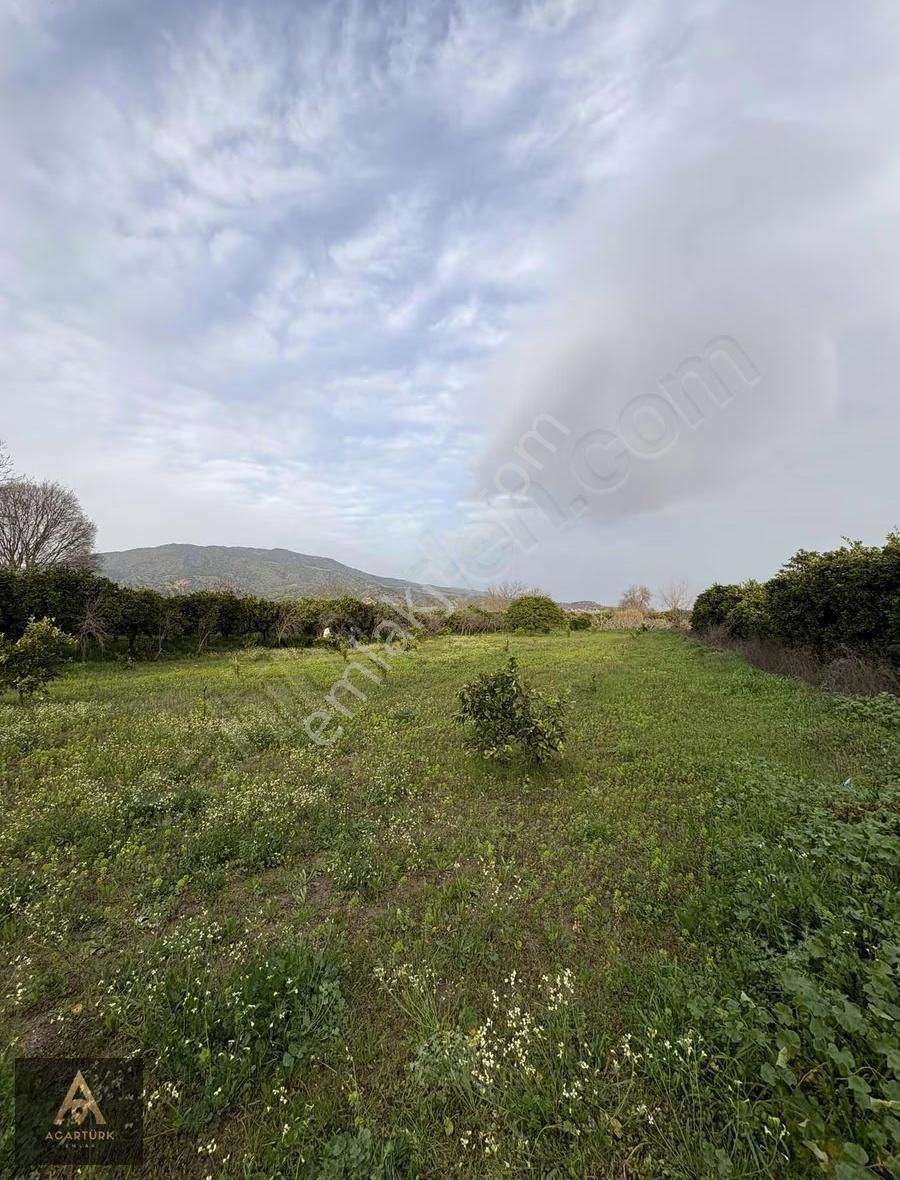 Hamzallı'da Asfalta 300 Mt 2 Dönüm İmar Sınırında Hobi Bahçesi - Görsel 8