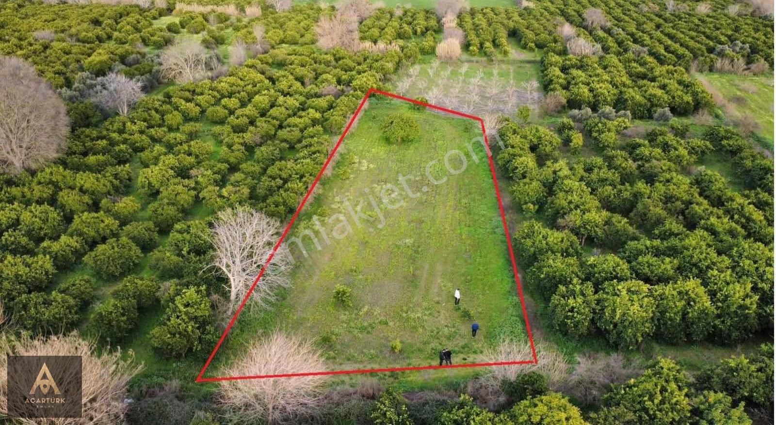 Hamzallı'da Asfalta 300 Mt 2 Dönüm İmar Sınırında Hobi Bahçesi - Görsel 7