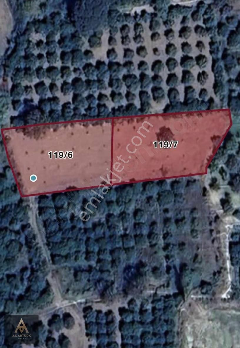 Hamzallı'da Asfalta 300 Mt 2 Dönüm İmar Sınırında Hobi Bahçesi - Görsel 6