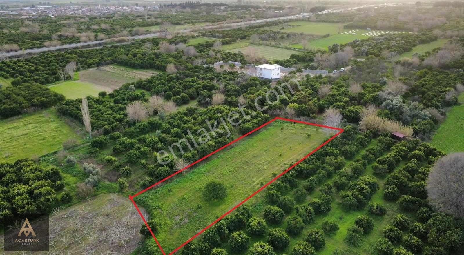 Hamzallı'da Asfalta 300 Mt 2 Dönüm İmar Sınırında Hobi Bahçesi - Görsel 2