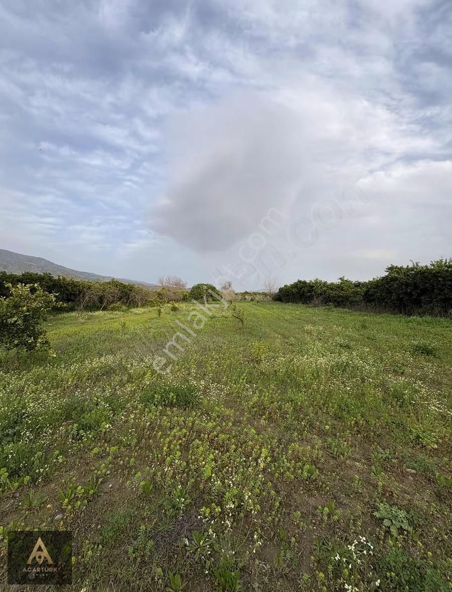 Hamzallı'da Asfalta 300 Mt 2 Dönüm İmar Sınırında Hobi Bahçesi - Görsel 4