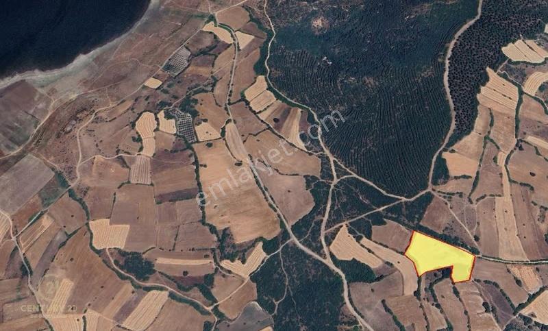 Century21 Bal 'dan Akçaköy Mahallesinde Satılık Tarla - Görsel 3