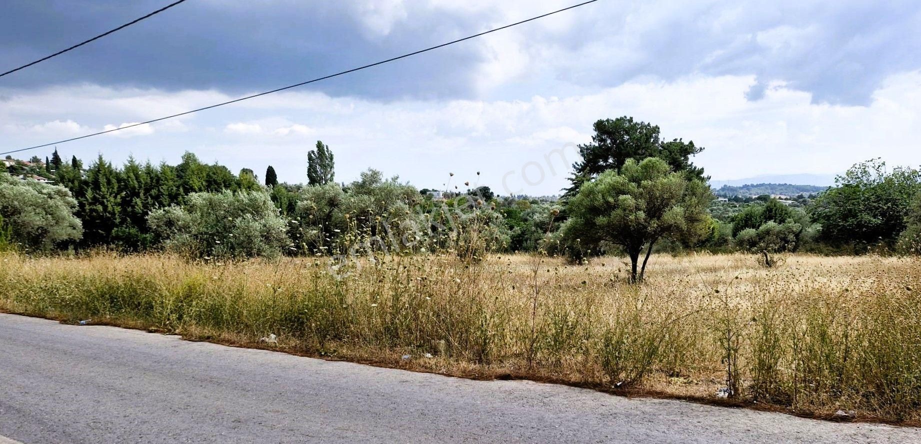 Torbalı Demirci’de Asfalt Cepheli, Fırsat Arazi! - Görsel 9