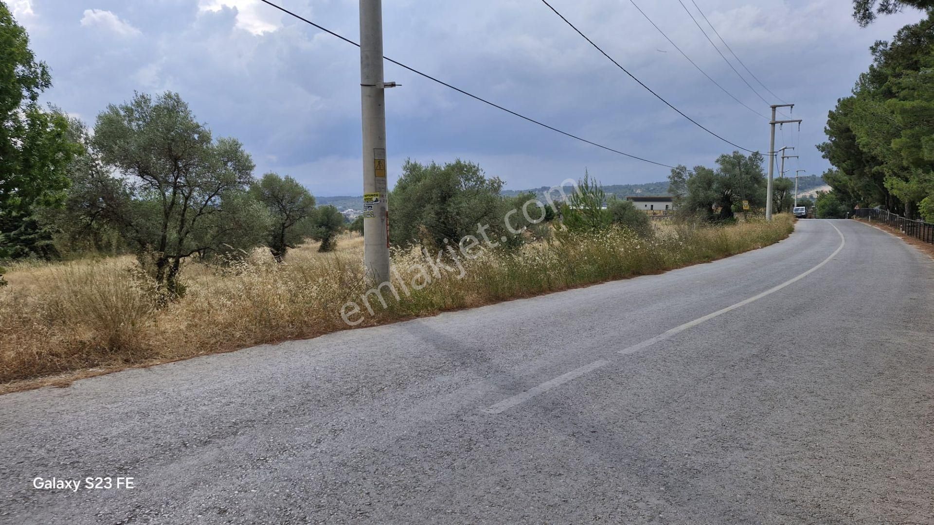 Torbalı Demirci’de Asfalt Cepheli, Fırsat Arazi! - Görsel 2